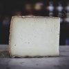 Brebis Corse Fermier